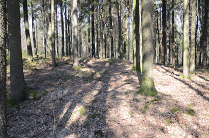 Spodnja Polskava - Rimskodobna gomila Velenik