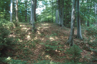 Žabljek - Utrdba Trnič