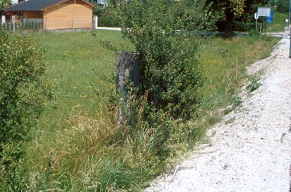 Zgornja Polskava - Znamenje