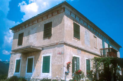 Gabernik - Majalov štok