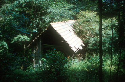 Radkovec - Varhova žaga