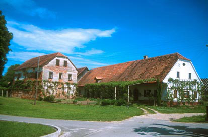 Spodnja Polskava - Domačija Spodnja Polskava 125 in 190