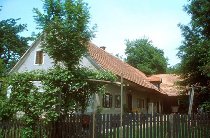Spodnja Polskava - Domačija Spodnja Polskava 221