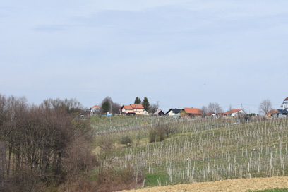 Runeč - Vas
