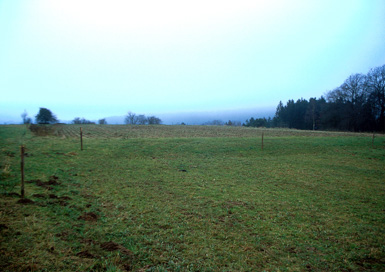 Vič - Naselbina