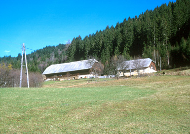 Goriški vrh - Domačija Ravnjak