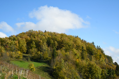 Hom - Arheološko najdišče Jaršč