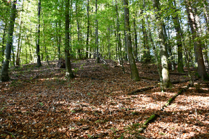 Roženberk - Arheološko najdišče Grac