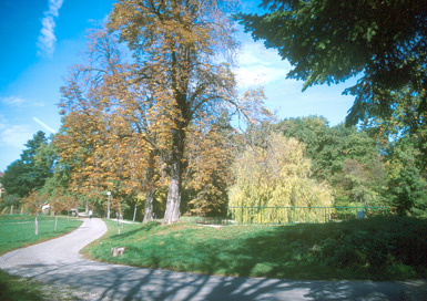Ptuj - Park Ljudski vrt