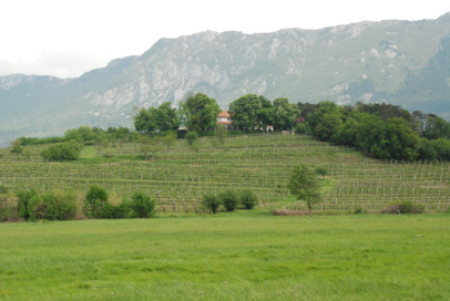 Zemono - Območje ob dvorcu Zemono