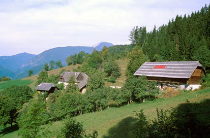 Javorje - Domačija Spodnje Javorje 25