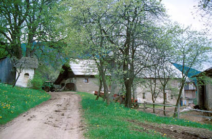 Plat nad Mežico - Domačija Plat 14