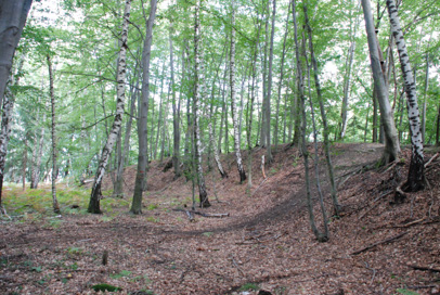 Ceršak - Gradišče