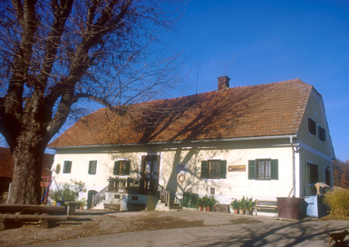 Jelenče - Hiša Jelenče 4
