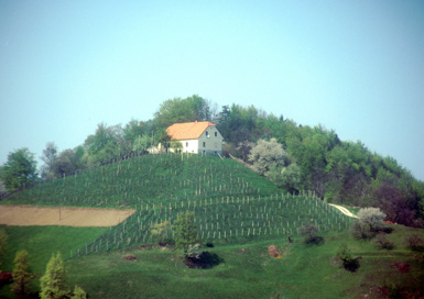 Pesnica - Hiša Pesnica 32