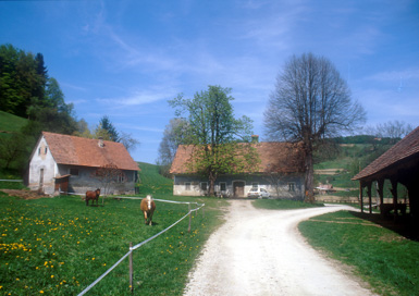 Spodnje Vrtiče - Domačija Spodnje Vrtiče 8