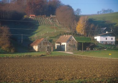 Vukovski Vrh - Domačija Vukovski Vrh 38