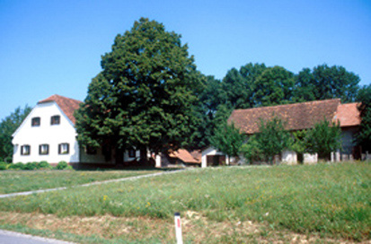 Zgornja Velka - Domačija Sviligoj