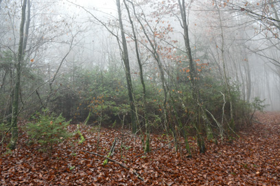 Reva pri Dobrniču - Gomila