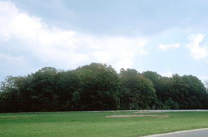 Maribor - Park gradu Betnava