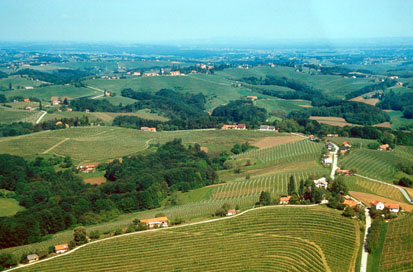 Jeruzalem - Jeruzalemske gorice
