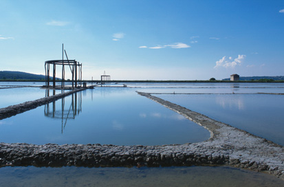 Sečovlje - Sečoveljske soline