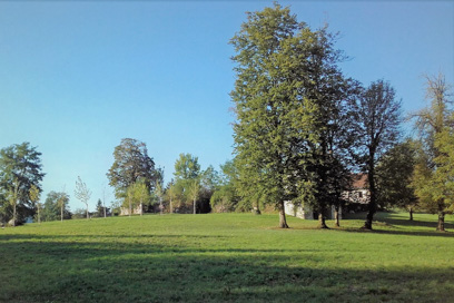 Gradac - Grajski park