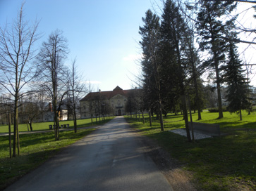 Novo Celje - Park dvorca Novo Celje