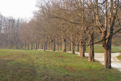 Novo mesto - Kettejev drevored