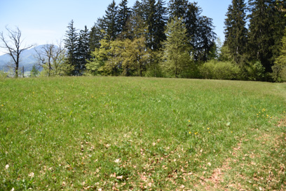 Slovenj Gradec - Prazgodovinska naselbina Tičnica