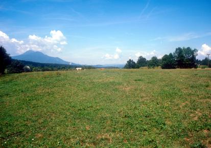 Dovže - Villa rustica v Spodnjih Dovžah