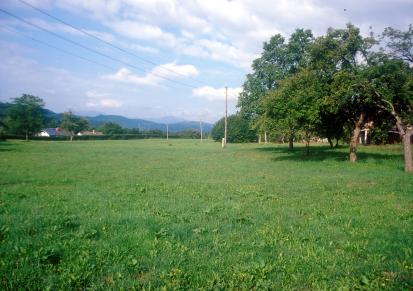 Dovže - Villa rustica v Zgornjih Dovžah