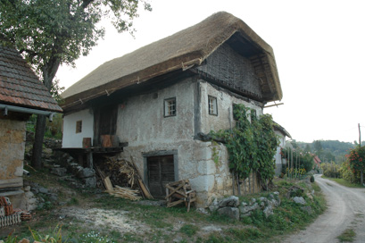 Boršt pri Dvoru - Domačija Boršt 6