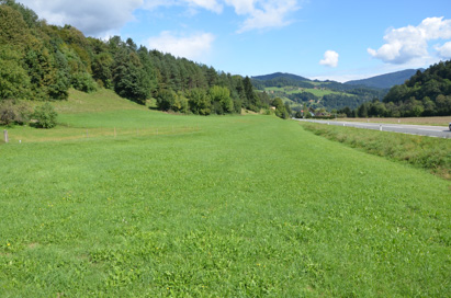 Spodnja Gortina - Arheološko najdišče Belo mesto