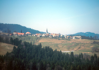Ribnica na Pohorju - Vas
