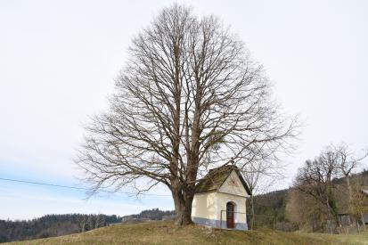 Št. Janž pri Radljah - Grajfova kapelica