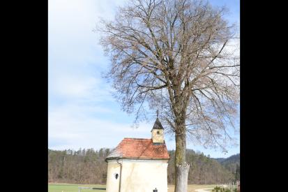 Zgornja Vižinga - Kapelica na polju