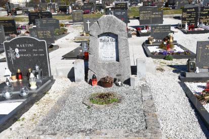 Radlje ob Dravi - Grob borca za severno mejo