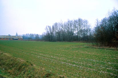 Kobilje - Eneolitska naselbina