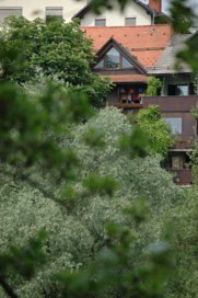 Novo mesto - Hiša Breg 16