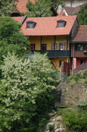 Novo mesto - Hiša Breg 21