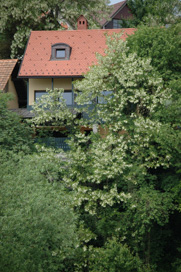 Novo mesto - Hiša Breg 22
