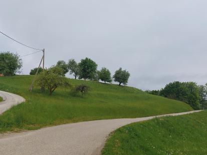 Hmeljčič - Gradišče Karlin