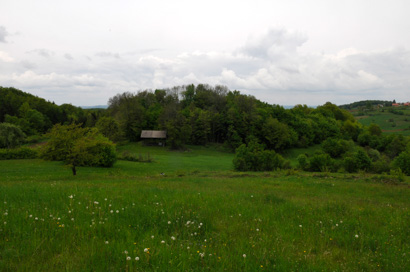 Sela pri Zajčjem Vrhu - Prazgodovinska naselbina Grac