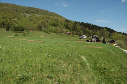 Dolenje Polje - Rimskodobno grobišče