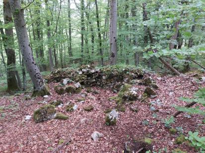 Hmeljčič - Cojzov grad