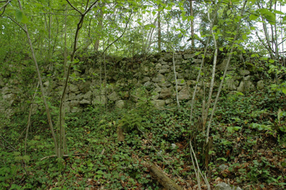 Grič pri Klevevžu - Grad Klevevž