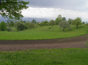 Javorovica - Kulturna krajina