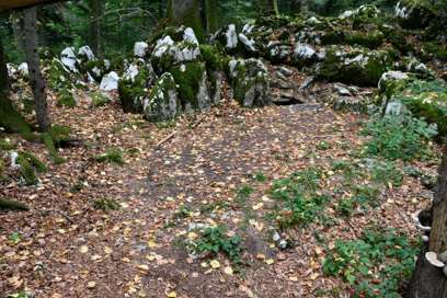 Kočevski Rog - Bunker 44