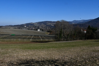Kostanjevica na Krki - Arheološko najdišče grajskega kompleksa